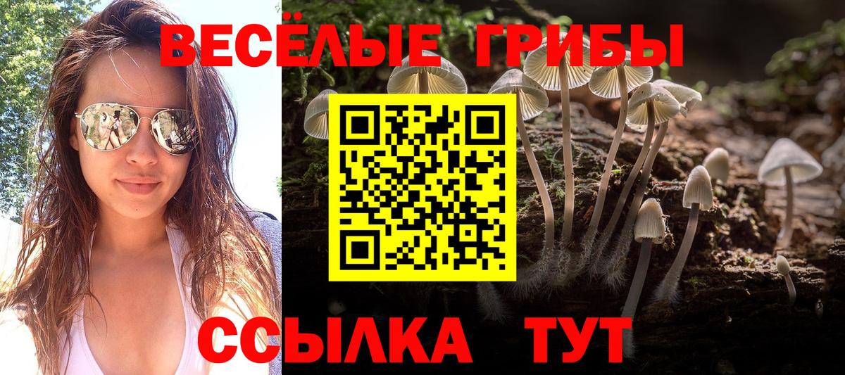 Псилоцибиновые грибы прущие грибы Кропоткин