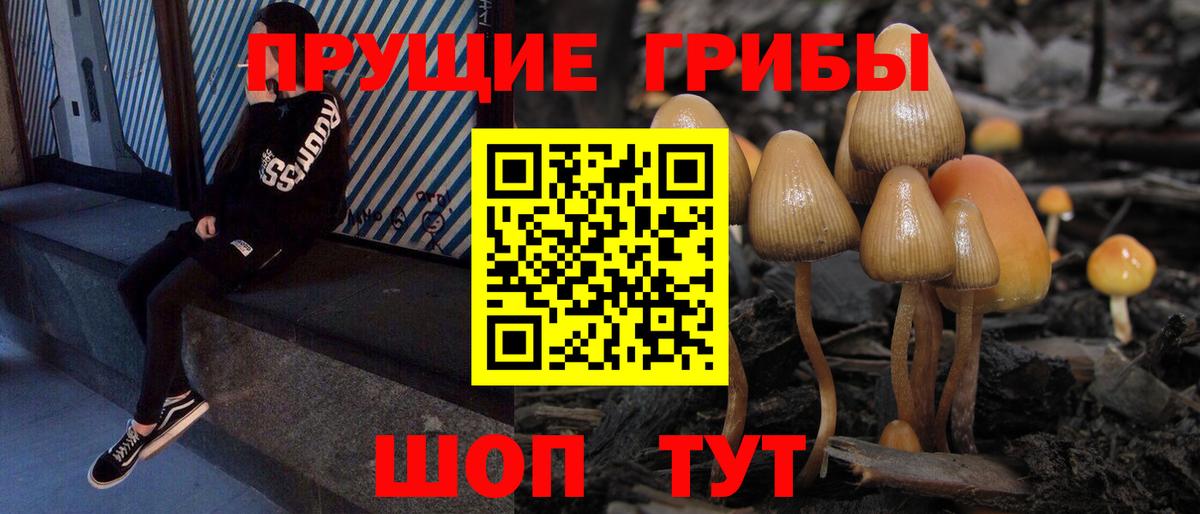Псилоцибиновые грибы Cubensis  Вход с VPN  Кропоткин 